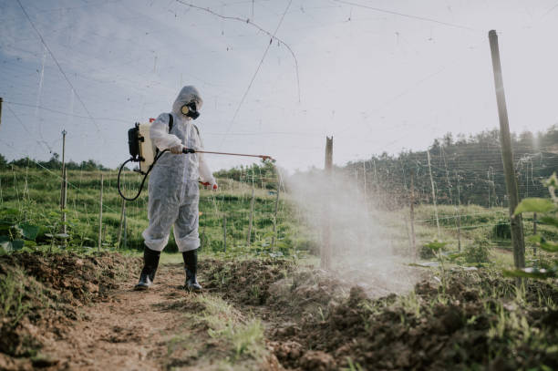 Best Best Pest Control Companies  in Wahpeton, ND