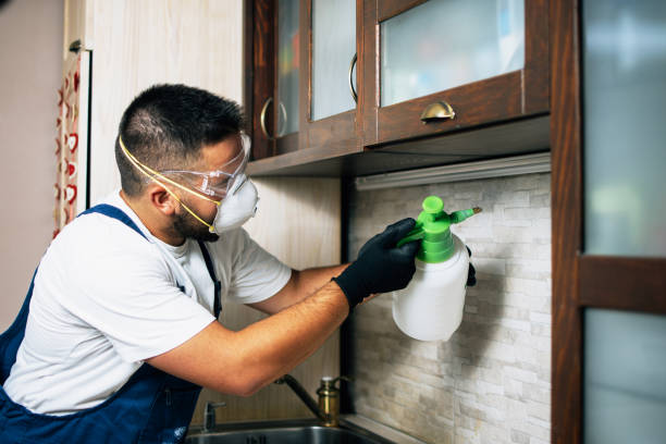Best Commercial Pest Control Services  in Wahpeton, ND