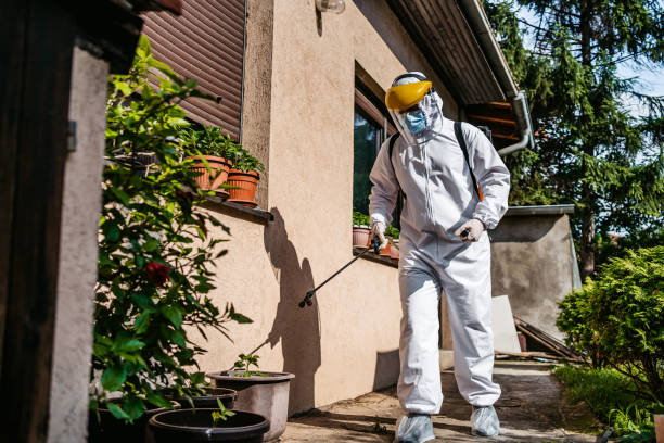 Best Pest Removal Services  in Wahpeton, ND