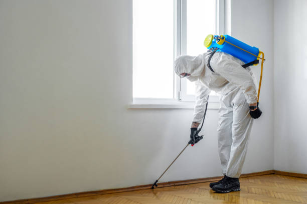 Best Affordable Pest Control Services  in Wahpeton, ND
