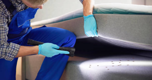 Reliable Wahpeton, ND Pest Control Solutions