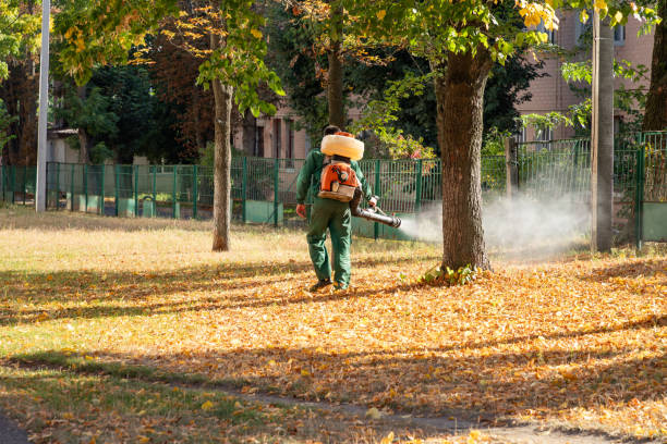 Best Wasp Removal Services  in Wahpeton, ND