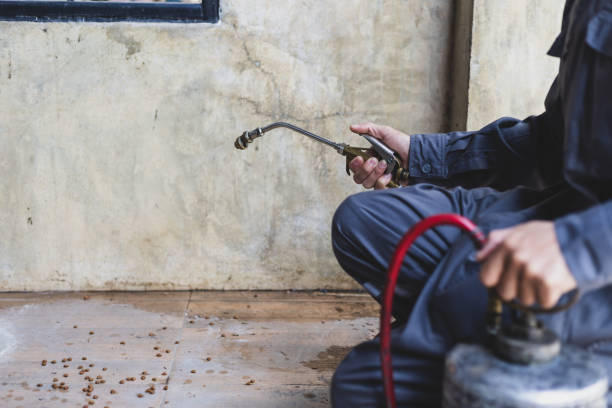 Best Pest Inspection Near Me  in Wahpeton, ND