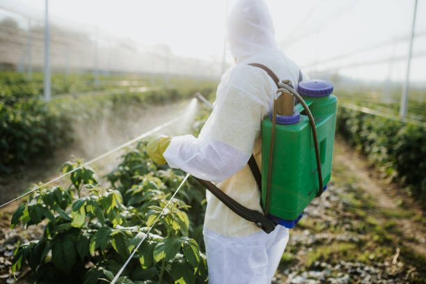 Best Local Pest Control Services  in Wahpeton, ND